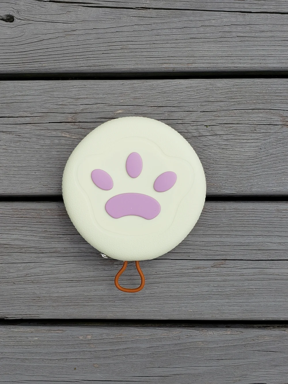 Pet Silicone Feeding Bowl With Storage Case